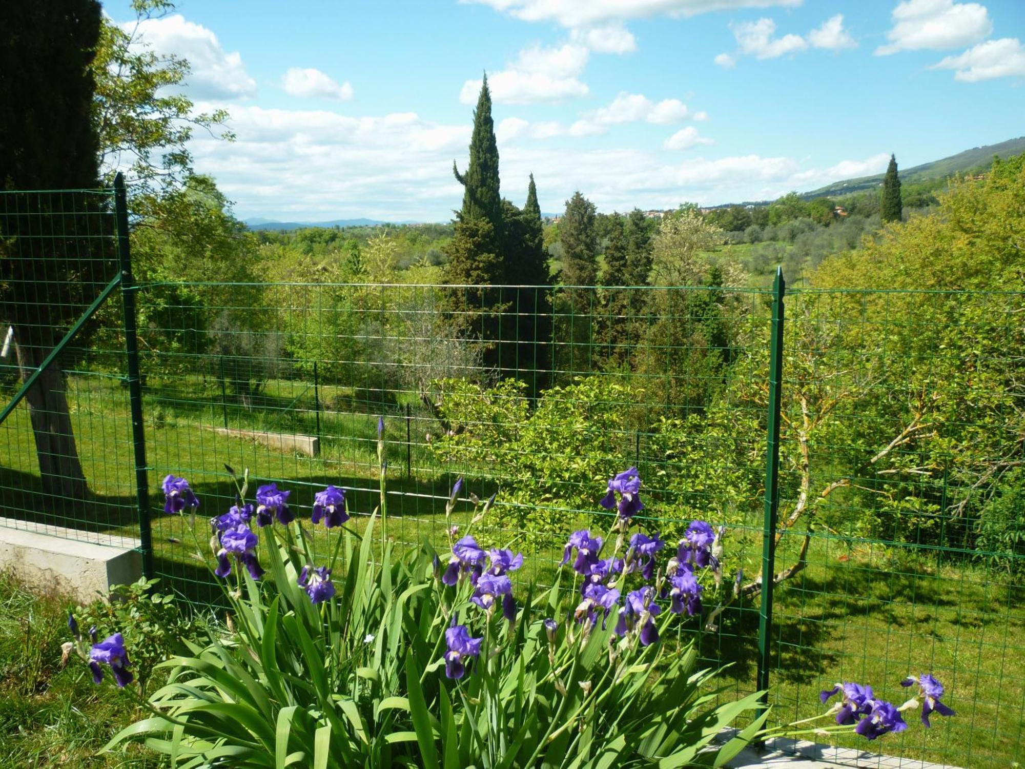 Casa Giulia Villa Reggello Bilik gambar