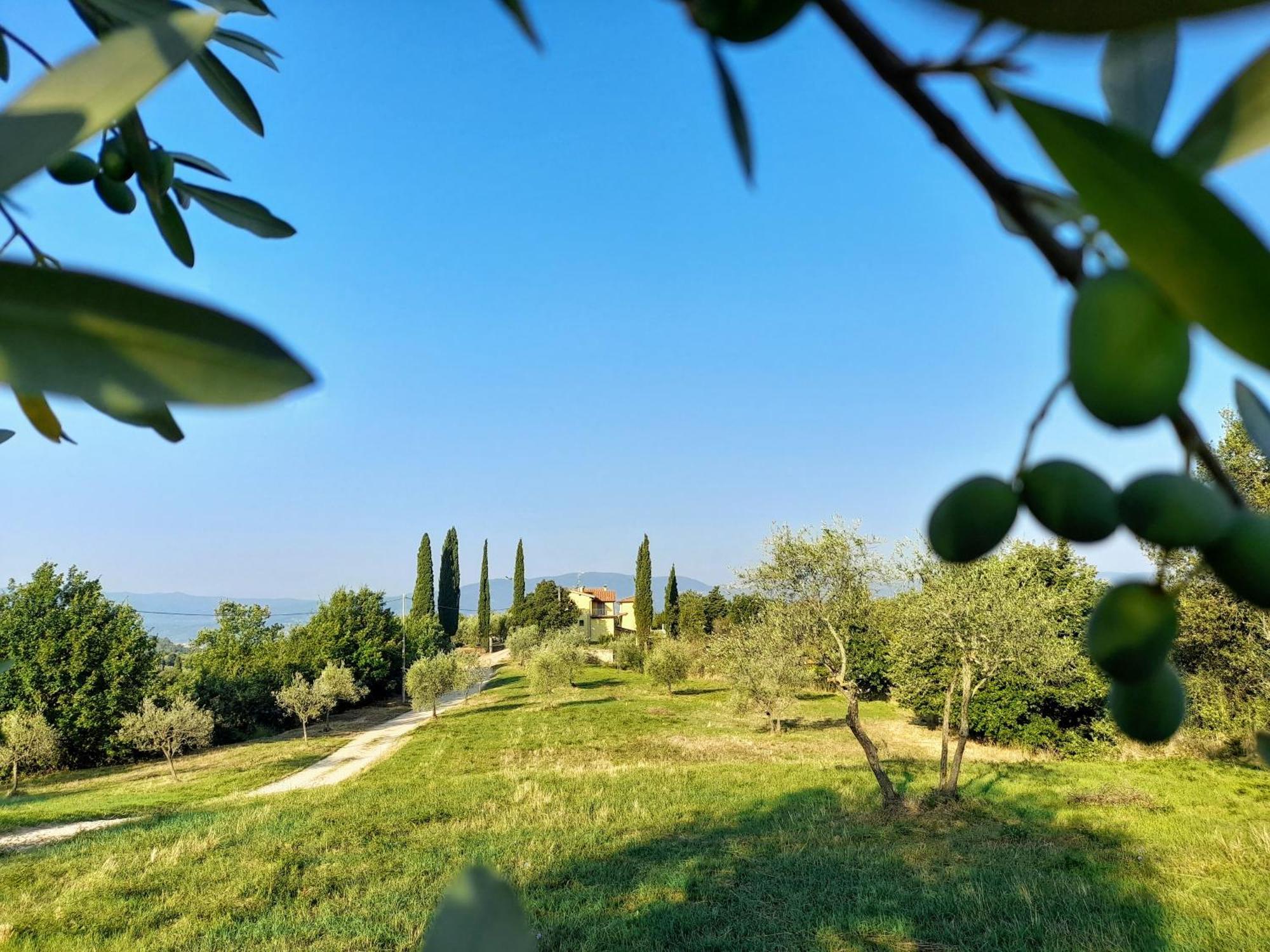 Casa Giulia Villa Reggello Luaran gambar